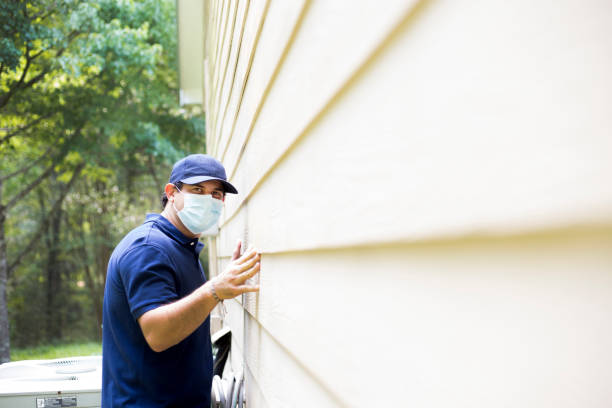 Best Siding Painting and Refinishing  in Mount Pleasant, MI